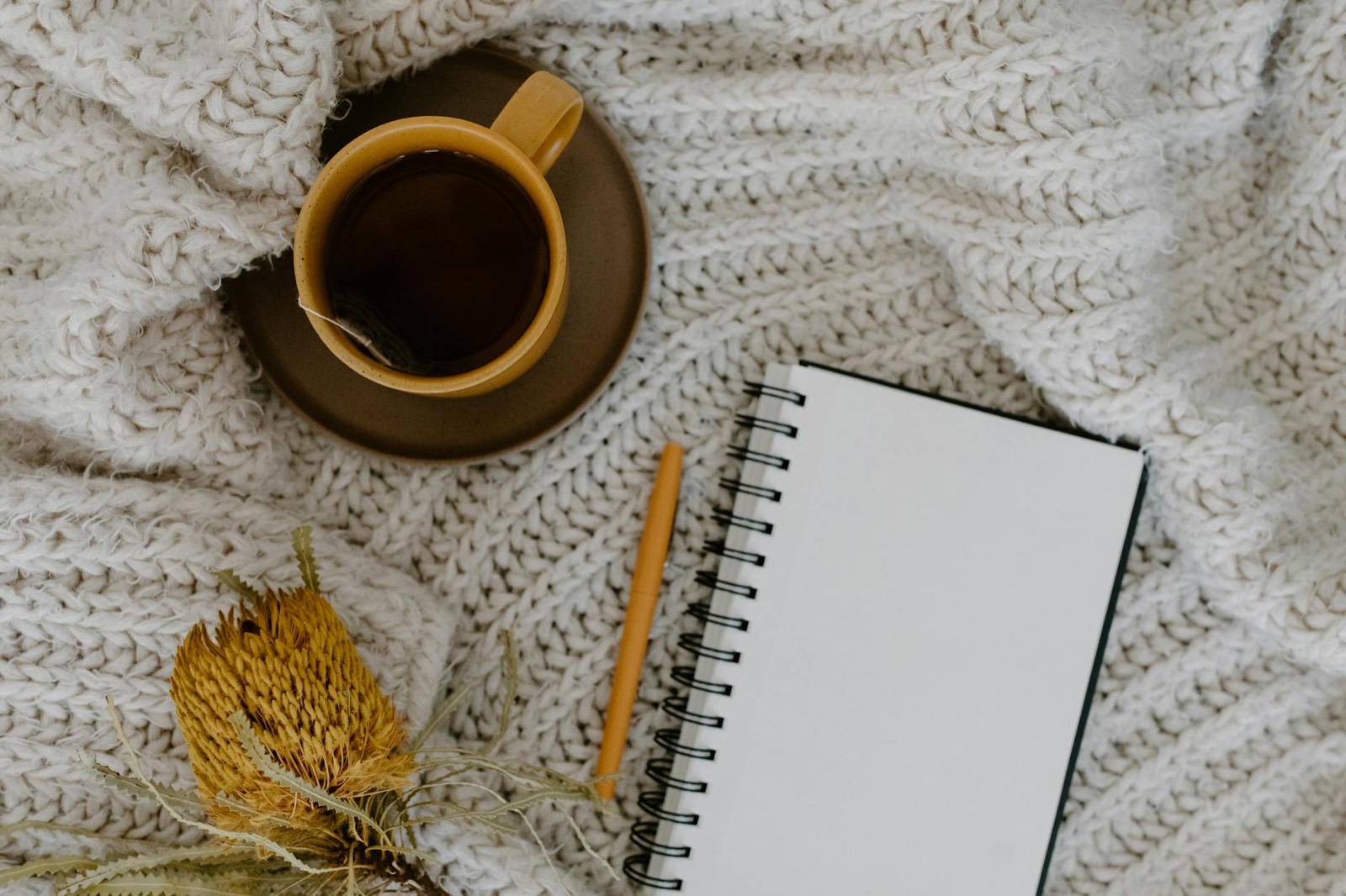 Herbal tea and a notebook — a natural-health consultation