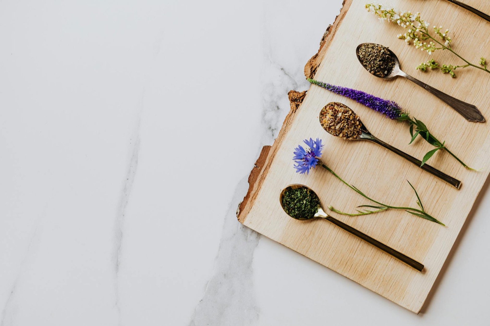 Herbs, botanicals and natural remedies arranged on a marble surface